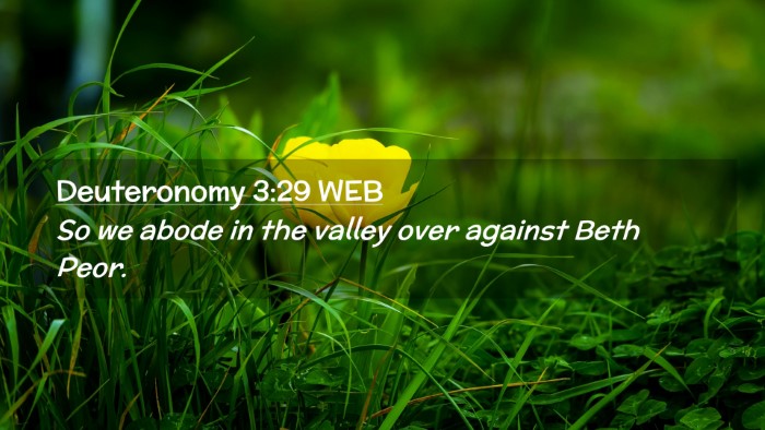 Picture 02 - Deuteronomy 3:29 WEB Desktop Wallpaper - So we abode in the valley over against Beth - Desktop Bible Verse Wallpaper