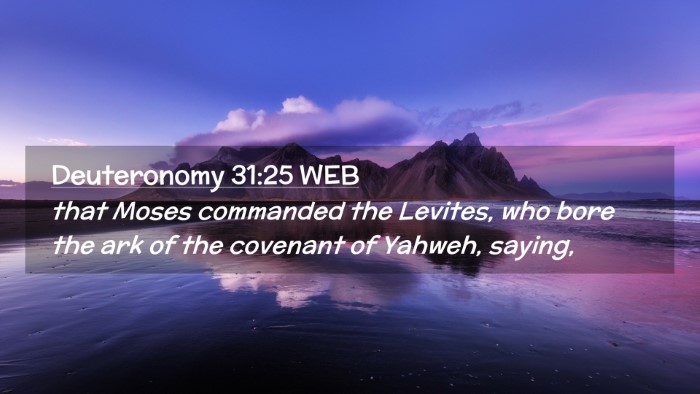Picture 02 - Deuteronomy 31:25 WEB Desktop Wallpaper - that Moses commanded the Levites, who bore the - Desktop Bible Verse Wallpaper