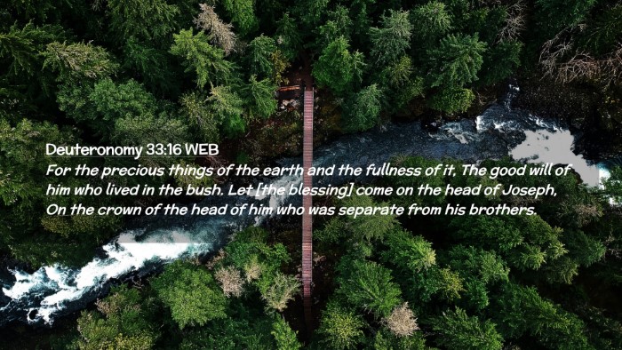 Picture 02 - Deuteronomy 33:16 WEB Desktop Wallpaper - For the precious things of the earth and the - Desktop Bible Verse Wallpaper