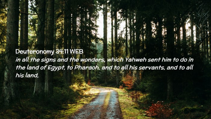 Picture 02 - Deuteronomy 34:11 WEB Desktop Wallpaper - in all the signs and the wonders, which Yahweh - Desktop Bible Verse Wallpaper