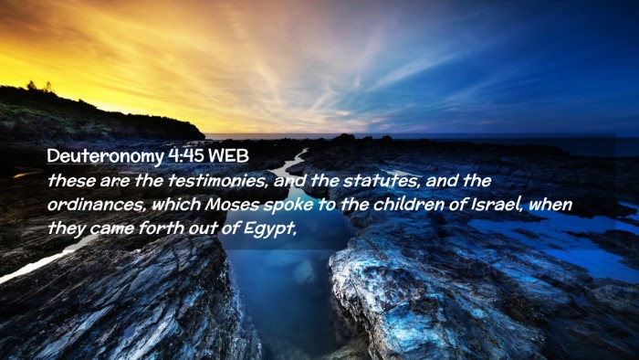 Picture 02 - Deuteronomy 4:45 WEB Desktop Wallpaper - these are the testimonies, and the statutes, and - Desktop Bible Verse Wallpaper