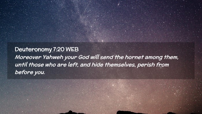 Picture 02 - Deuteronomy 7:20 WEB Desktop Wallpaper - Moreover Yahweh your God will send the hornet - Desktop Bible Verse Wallpaper