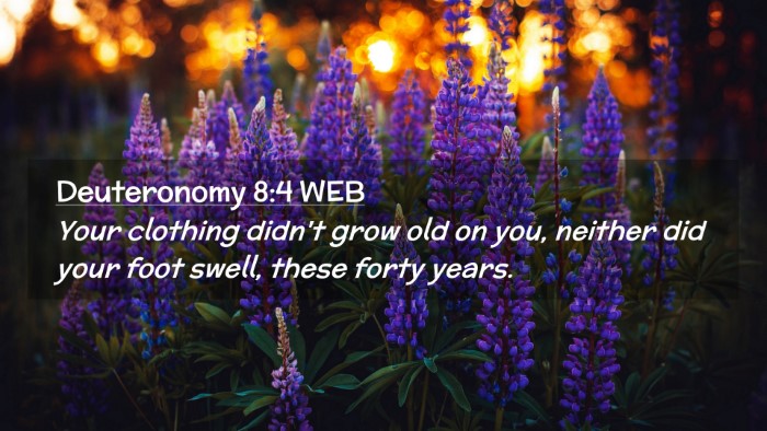 Picture 02 - Deuteronomy 8:4 WEB Desktop Wallpaper - Your clothing didn't grow old on you, neither did - Desktop Bible Verse Wallpaper
