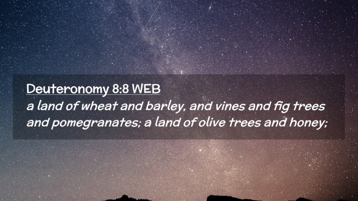 Picture 02 - Deuteronomy 8:8 WEB Desktop Wallpaper - a land of wheat and barley, and vines and fig - Desktop Bible Verse Wallpaper