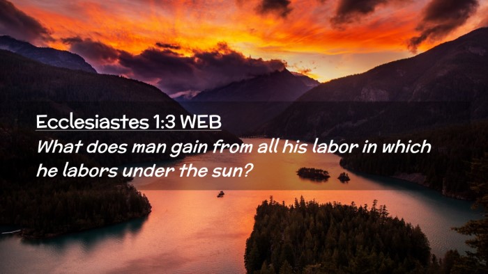 Picture 02 - Ecclesiastes 1:3 WEB Desktop Wallpaper - What does man gain from all his labor in which he - Desktop Bible Verse Wallpaper