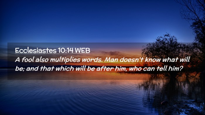 Picture 02 - Ecclesiastes 10:14 WEB Desktop Wallpaper - A fool also multiplies words. Man doesn't know - Desktop Bible Verse Wallpaper