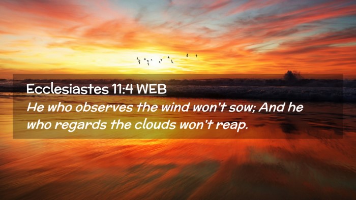 Picture 02 - Ecclesiastes 11:4 WEB Desktop Wallpaper - He who observes the wind won't sow; And he who - Desktop Bible Verse Wallpaper