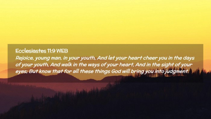 Picture 02 - Ecclesiastes 11:9 WEB Desktop Wallpaper - Rejoice, young man, in your youth, And let your - Desktop Bible Verse Wallpaper