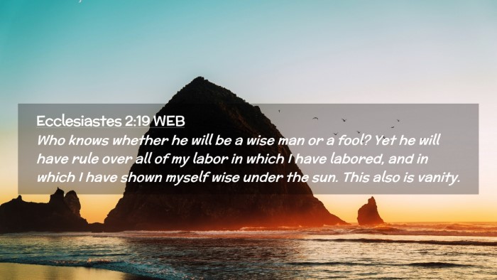 Picture 02 - Ecclesiastes 2:19 WEB Desktop Wallpaper - Who knows whether he will be a wise man or a - Desktop Bible Verse Wallpaper