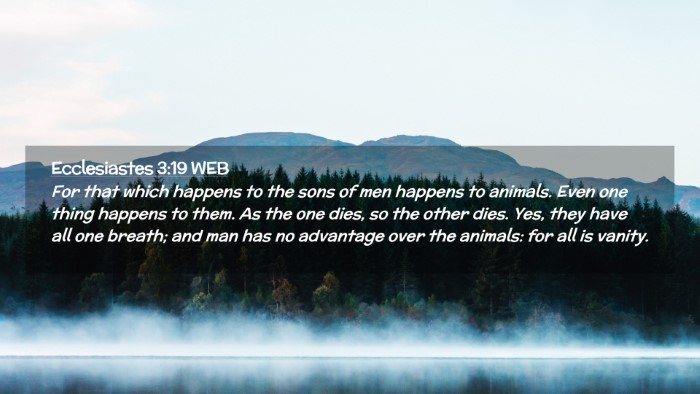 Picture 02 - Ecclesiastes 3:19 WEB Desktop Wallpaper - For that which happens to the sons of men happens - Desktop Bible Verse Wallpaper