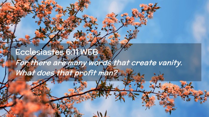 Picture 02 - Ecclesiastes 6:11 WEB Desktop Wallpaper - For there are many words that create vanity. What - Desktop Bible Verse Wallpaper