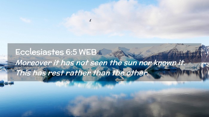 Picture 02 - Ecclesiastes 6:5 WEB Desktop Wallpaper - Moreover it has not seen the sun nor known it. - Desktop Bible Verse Wallpaper