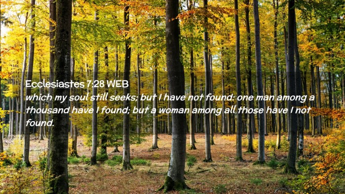 Picture 02 - Ecclesiastes 7:28 WEB Desktop Wallpaper - which my soul still seeks; but I have not found: - Desktop Bible Verse Wallpaper