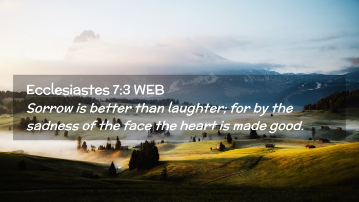 Picture 02 - Ecclesiastes 7:3 WEB Desktop Wallpaper - Sorrow is better than laughter; for by the - Desktop Bible Verse Wallpaper