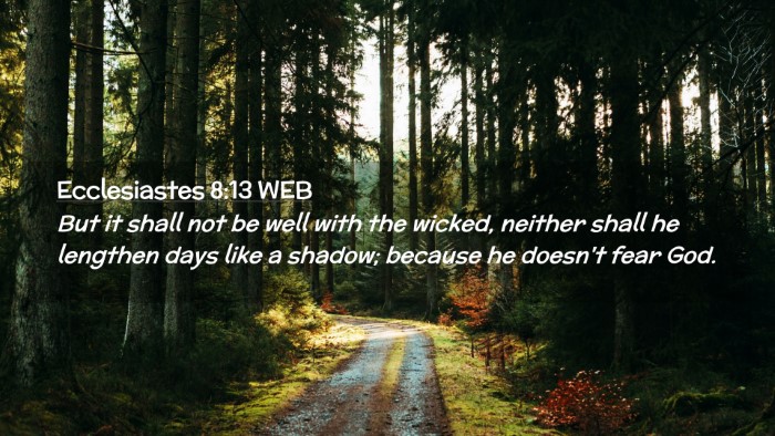 Picture 02 - Ecclesiastes 8:13 WEB Desktop Wallpaper - But it shall not be well with the wicked, neither - Desktop Bible Verse Wallpaper