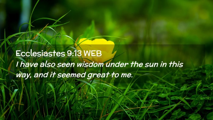 Picture 02 - Ecclesiastes 9:13 WEB Desktop Wallpaper - I have also seen wisdom under the sun in this - Desktop Bible Verse Wallpaper