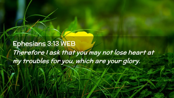 Picture 02 - Ephesians 3:13 WEB Desktop Wallpaper - Therefore I ask that you may not lose heart at my - Desktop Bible Verse Wallpaper