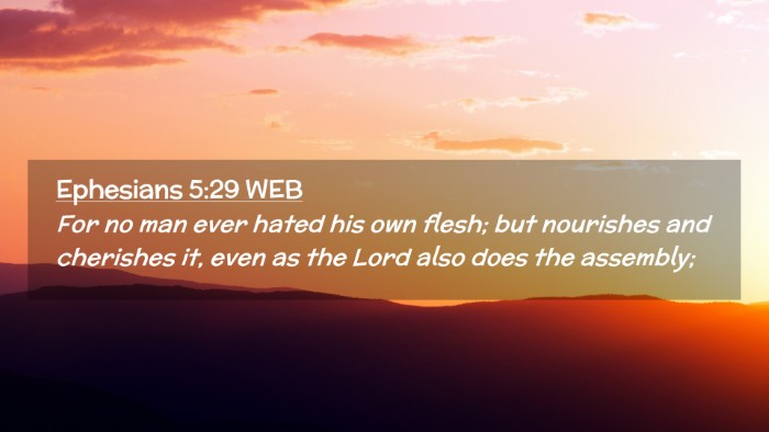 Picture 02 - Ephesians 5:29 WEB Desktop Wallpaper - For no man ever hated his own flesh; but - Desktop Bible Verse Wallpaper