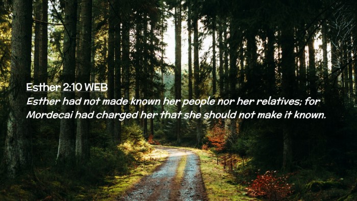 Picture 02 - Esther 2:10 WEB Desktop Wallpaper - Esther had not made known her people nor her - Desktop Bible Verse Wallpaper