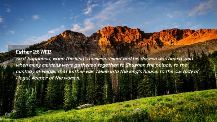 Picture 02 - Esther 2:8 WEB Desktop Wallpaper - So it happened, when the king's commandment and - Desktop Bible Verse Wallpaper