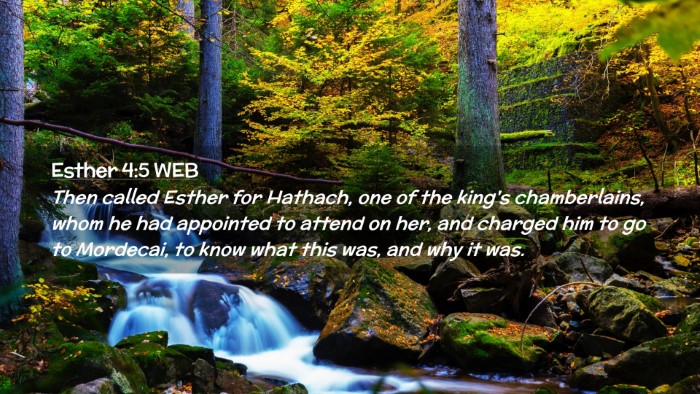 Picture 02 - Esther 4:5 WEB Desktop Wallpaper - Then called Esther for Hathach, one of the king's - Desktop Bible Verse Wallpaper