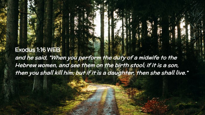 Picture 02 - Exodus 1:16 WEB Desktop Wallpaper - and he said, 