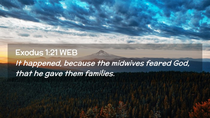 Picture 02 - Exodus 1:21 WEB Desktop Wallpaper - It happened, because the midwives feared God, - Desktop Bible Verse Wallpaper