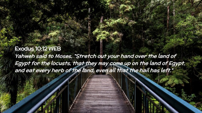 Picture 02 - Exodus 10:12 WEB Desktop Wallpaper - Yahweh said to Moses, 