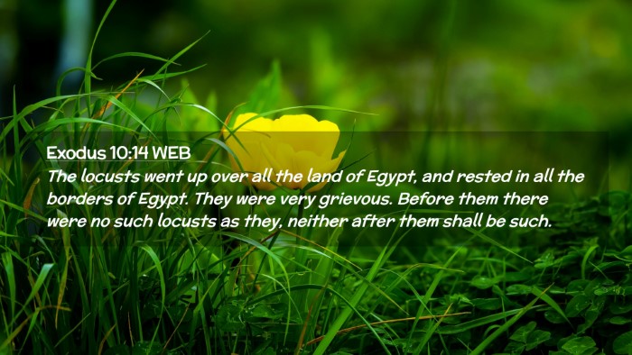 Picture 02 - Exodus 10:14 WEB Desktop Wallpaper - The locusts went up over all the land of Egypt, - Desktop Bible Verse Wallpaper