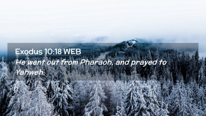 Picture 02 - Exodus 10:18 WEB Desktop Wallpaper - He went out from Pharaoh, and prayed to - Desktop Bible Verse Wallpaper