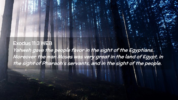 Picture 02 - Exodus 11:3 WEB Desktop Wallpaper - Yahweh gave the people favor in the sight of the - Desktop Bible Verse Wallpaper