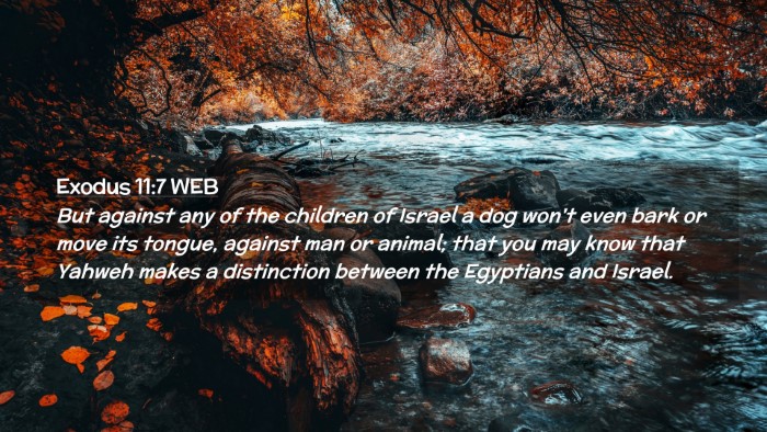 Picture 02 - Exodus 11:7 WEB Desktop Wallpaper - But against any of the children of Israel a dog - Desktop Bible Verse Wallpaper