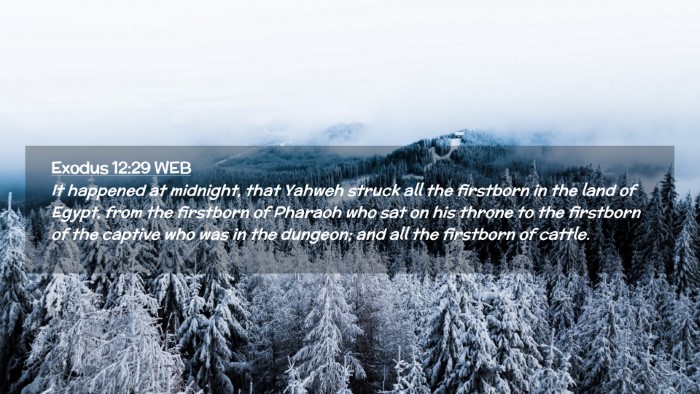 Picture 02 - Exodus 12:29 WEB Desktop Wallpaper - It happened at midnight, that Yahweh struck all - Desktop Bible Verse Wallpaper
