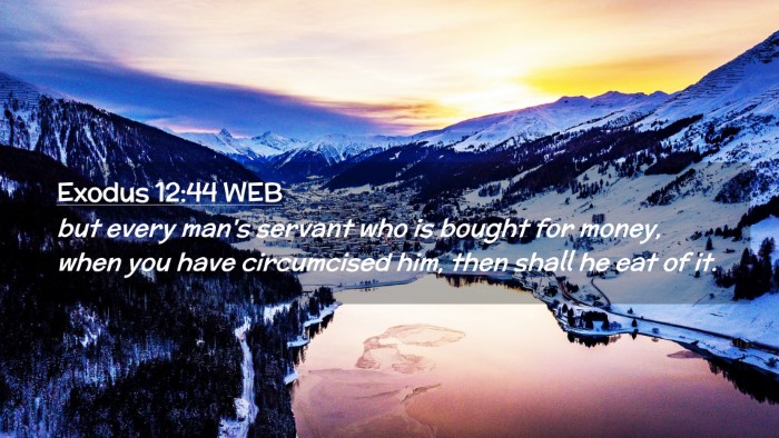 Picture 02 - Exodus 12:44 WEB Desktop Wallpaper - but every man's servant who is bought for money, - Desktop Bible Verse Wallpaper