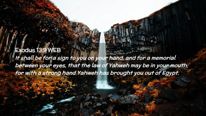 Picture 02 - Exodus 13:9 WEB Desktop Wallpaper - It shall be for a sign to you on your hand, and - Desktop Bible Verse Wallpaper