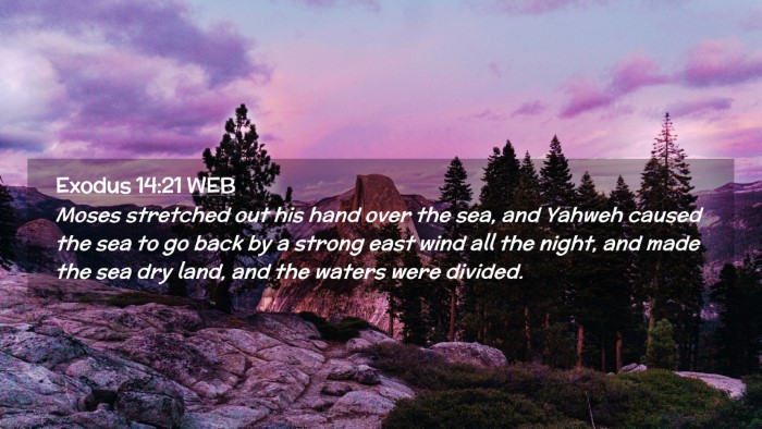 Picture 02 - Exodus 14:21 WEB Desktop Wallpaper - Moses stretched out his hand over the sea, and - Desktop Bible Verse Wallpaper