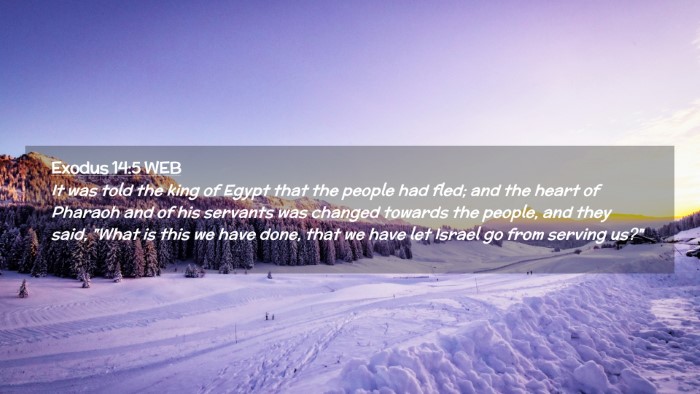 Picture 02 - Exodus 14:5 WEB Desktop Wallpaper - It was told the king of Egypt that the people had - Desktop Bible Verse Wallpaper