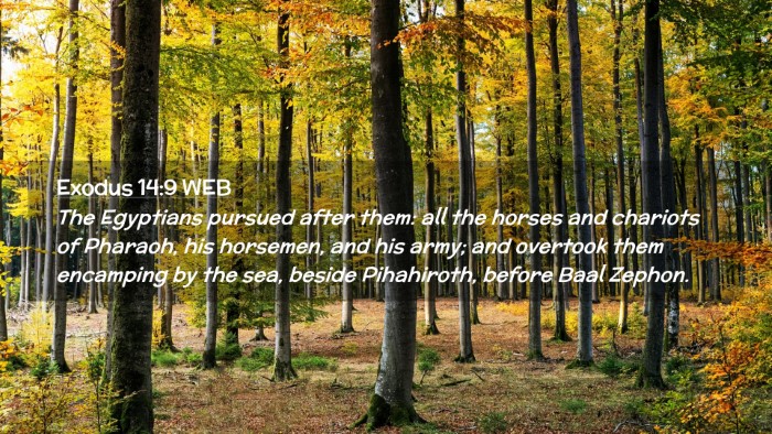 Picture 02 - Exodus 14:9 WEB Desktop Wallpaper - The Egyptians pursued after them: all the horses - Desktop Bible Verse Wallpaper
