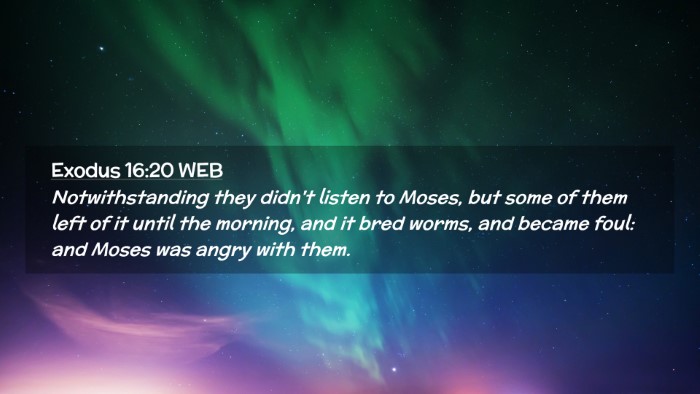 Picture 02 - Exodus 16:20 WEB Desktop Wallpaper - Notwithstanding they didn't listen to Moses, but - Desktop Bible Verse Wallpaper