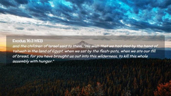 Picture 02 - Exodus 16:3 WEB Desktop Wallpaper - and the children of Israel said to them, 