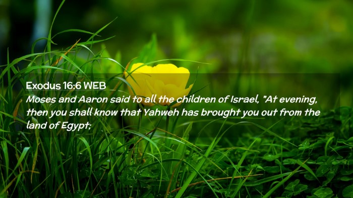 Picture 02 - Exodus 16:6 WEB Desktop Wallpaper - Moses and Aaron said to all the children of - Desktop Bible Verse Wallpaper