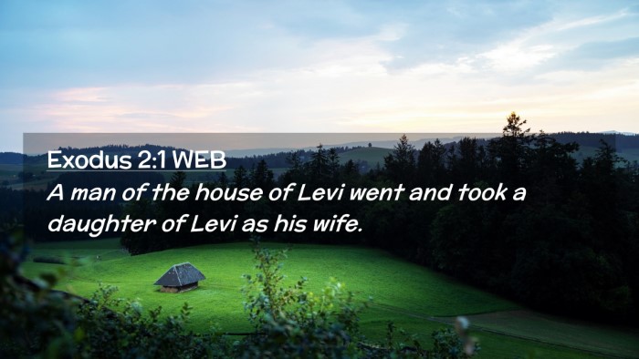 Picture 02 - Exodus 2:1 WEB Desktop Wallpaper - A man of the house of Levi went and took a - Desktop Bible Verse Wallpaper