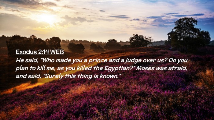 Picture 02 - Exodus 2:14 WEB Desktop Wallpaper - He said, 