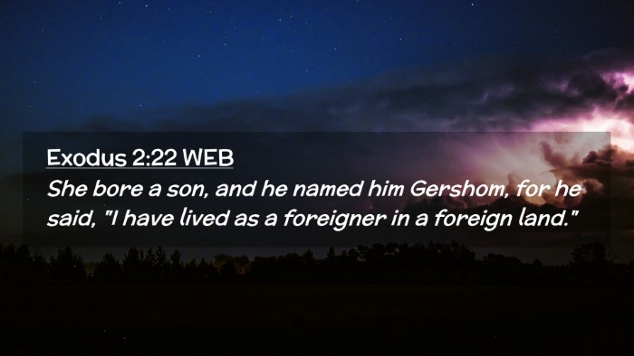 Picture 02 - Exodus 2:22 WEB Desktop Wallpaper - She bore a son, and he named him Gershom, for he - Desktop Bible Verse Wallpaper