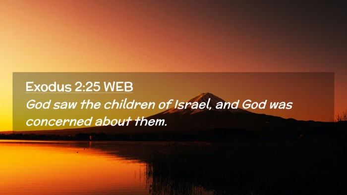 Picture 02 - Exodus 2:25 WEB Desktop Wallpaper - God saw the children of Israel, and God was - Desktop Bible Verse Wallpaper