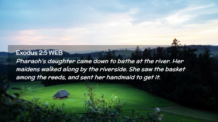 Picture 02 - Exodus 2:5 WEB Desktop Wallpaper - Pharaoh's daughter came down to bathe at the - Desktop Bible Verse Wallpaper
