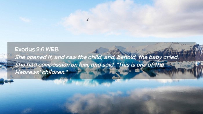 Picture 02 - Exodus 2:6 WEB Desktop Wallpaper - She opened it, and saw the child, and, behold, - Desktop Bible Verse Wallpaper