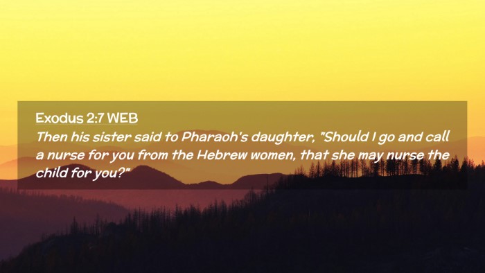 Picture 02 - Exodus 2:7 WEB Desktop Wallpaper - Then his sister said to Pharaoh's daughter, - Desktop Bible Verse Wallpaper