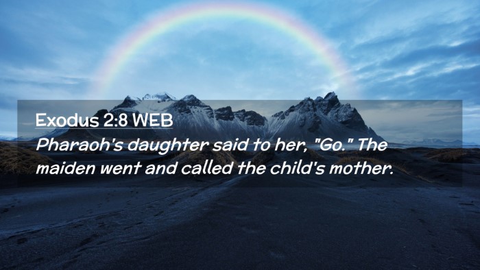 Picture 02 - Exodus 2:8 WEB Desktop Wallpaper - Pharaoh's daughter said to her, 