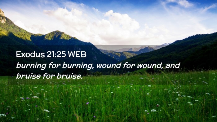 Picture 02 - Exodus 21:25 WEB Desktop Wallpaper - burning for burning, wound for wound, and bruise - Desktop Bible Verse Wallpaper